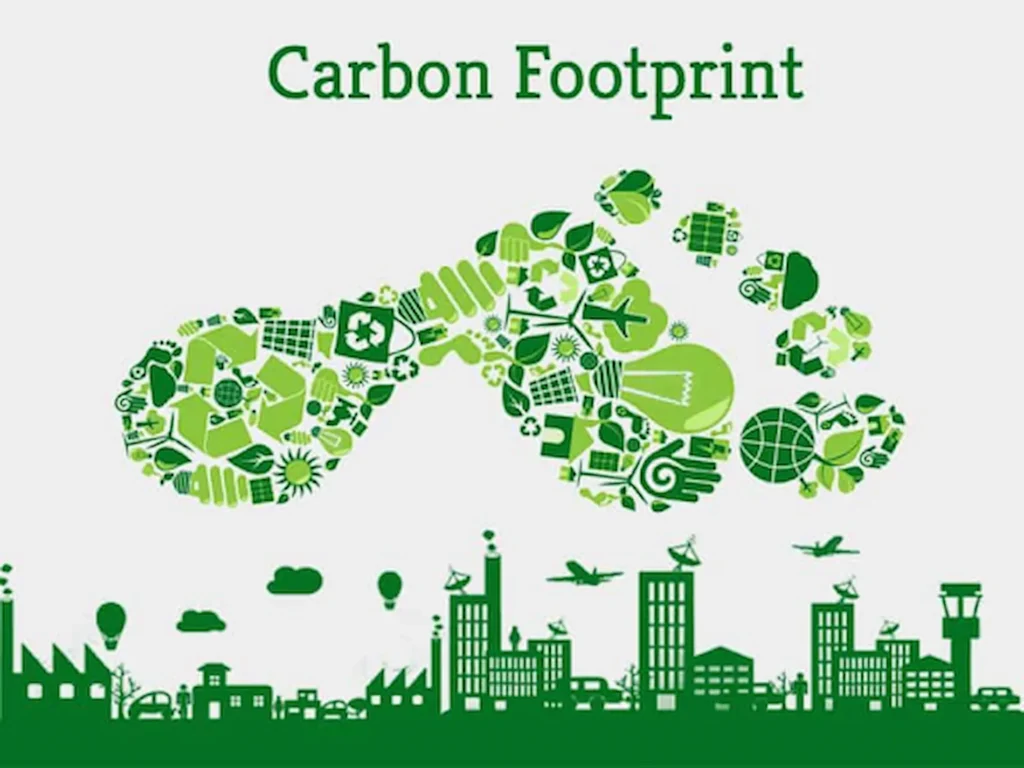 How Do I Reduce My Carbon Footprint at Home? 1 How Do I Reduce My Carbon Footprint at Home