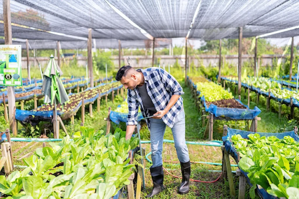 How Do I Reduce My Carbon Footprint at Home? 4 How Do I Reduce My Carbon Footprint at Home