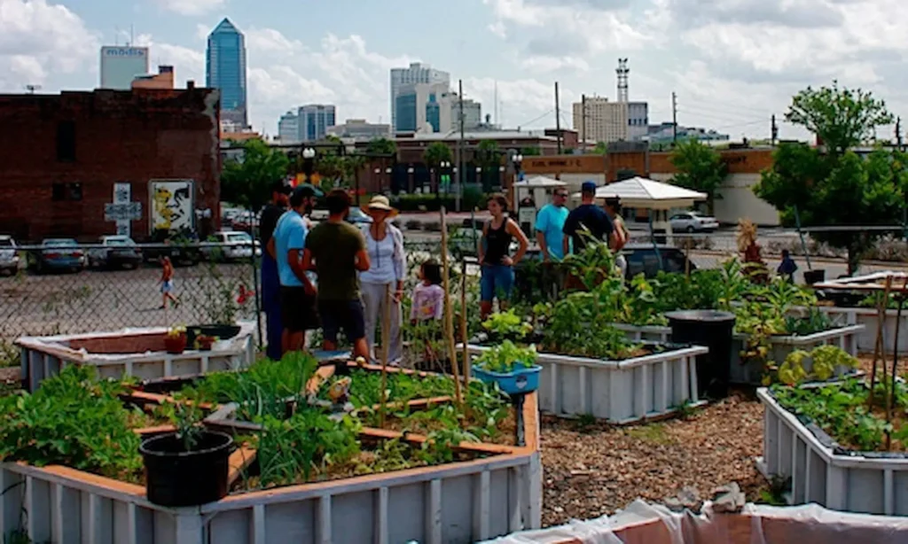 What is the Urban Heat Island and Why It Matters? 2 Urban Heat Island
