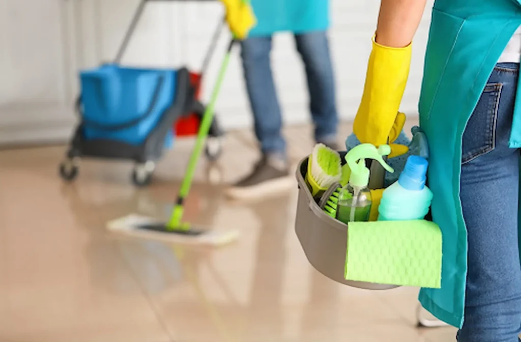What Is the Most Sustainable Way to Clean My Home? 1 Most Sustainable Way to Clean My Home