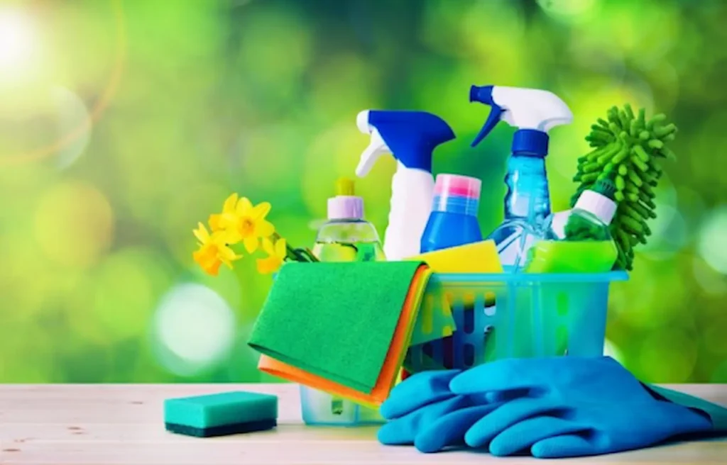 What Is the Most Sustainable Way to Clean My Home? 5 Most Sustainable Way to Clean My Home