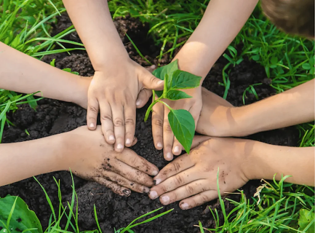 “How can I teach climate change to kids effectively?” 2 teach climate change to kids