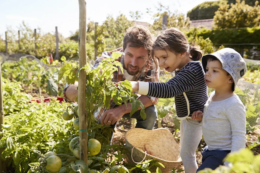 “How can I teach climate change to kids effectively?” 5 teach climate change to kids