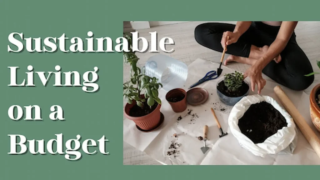 start living sustainably on a budget