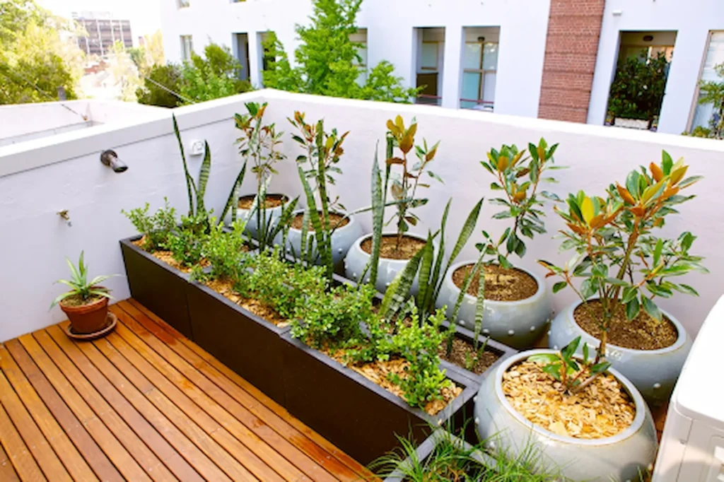 Start a Rooftoop Garden in small apartments