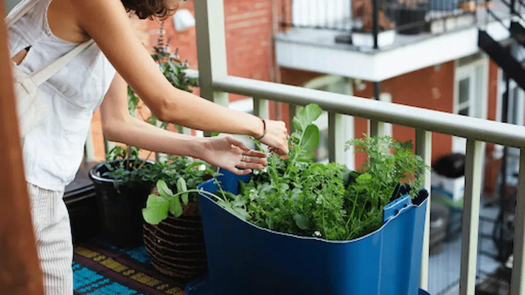 How to Start a Rooftop Garden in Small Apartments? 1 rooftop garden in small apartments