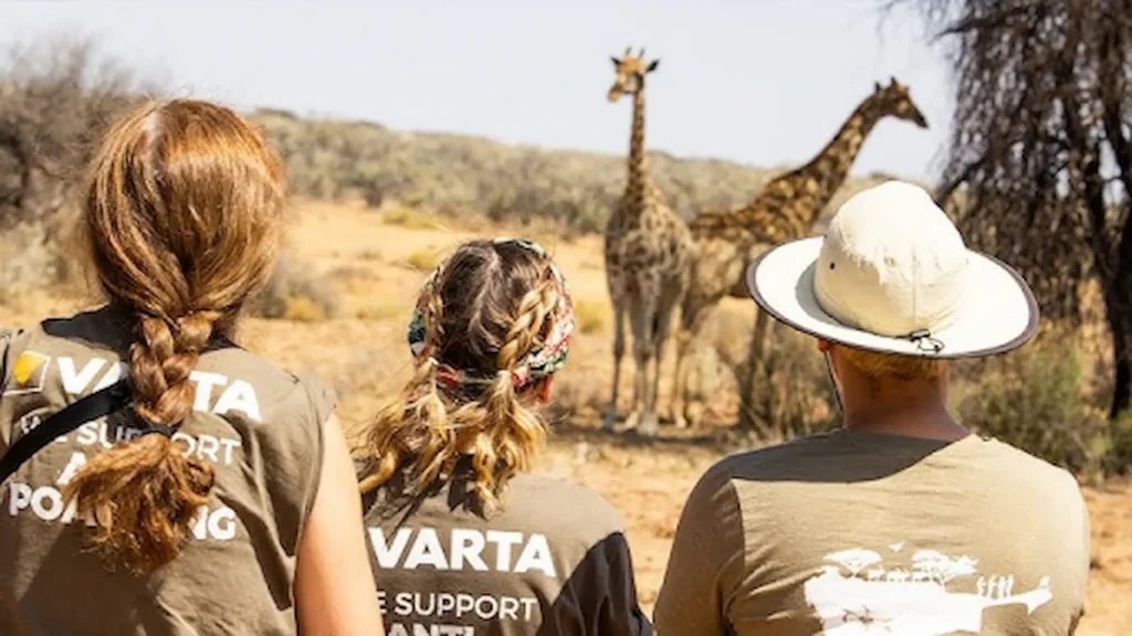 Why Is Wildlife Conservation Important in the USA? 4 Wildlife Conservation Important in the USA