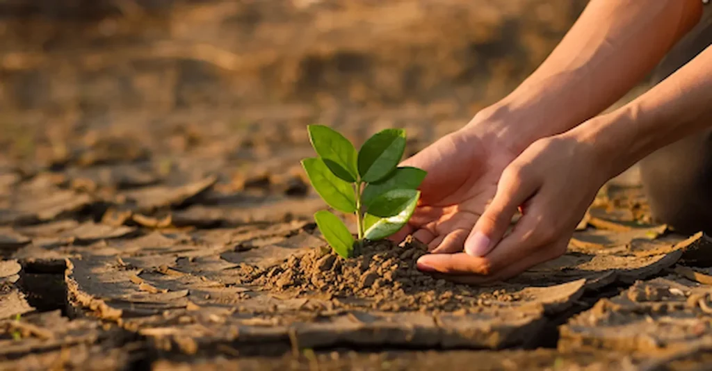 How Can Teachers Build Climate Justice Lessons? 1 climate justice lessons