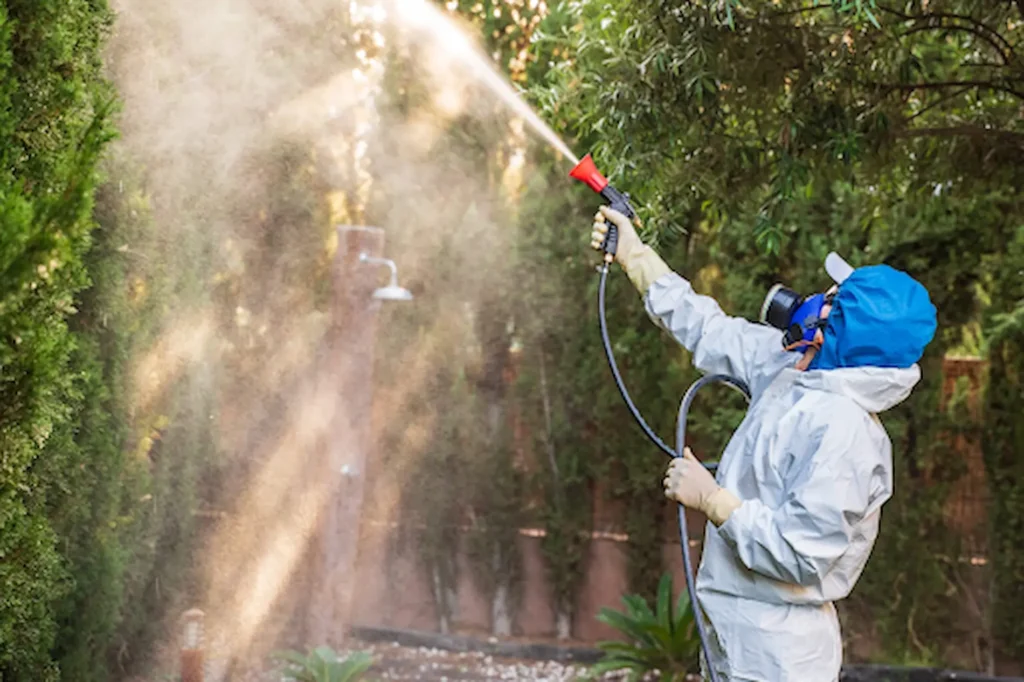 What Pests Are Common in Urban Container Gardens? 1 urban container garden