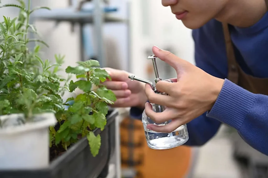 What Pests Are Common in Urban Container Gardens? 2 urban container garden
