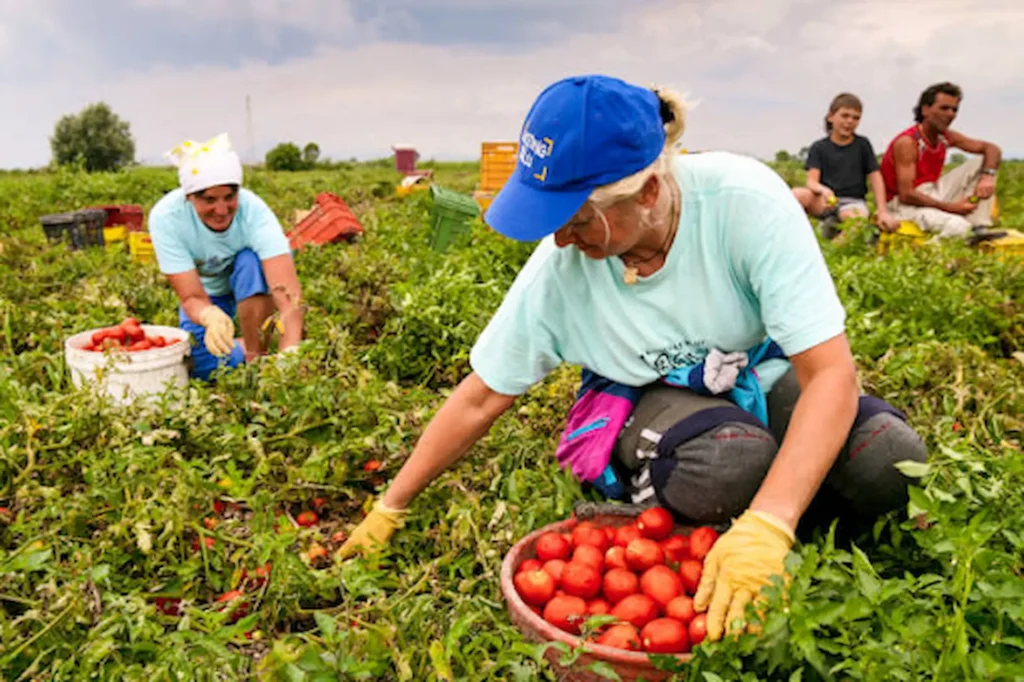 Is Organic Really Better for the Environment? 5 Organic Really Better