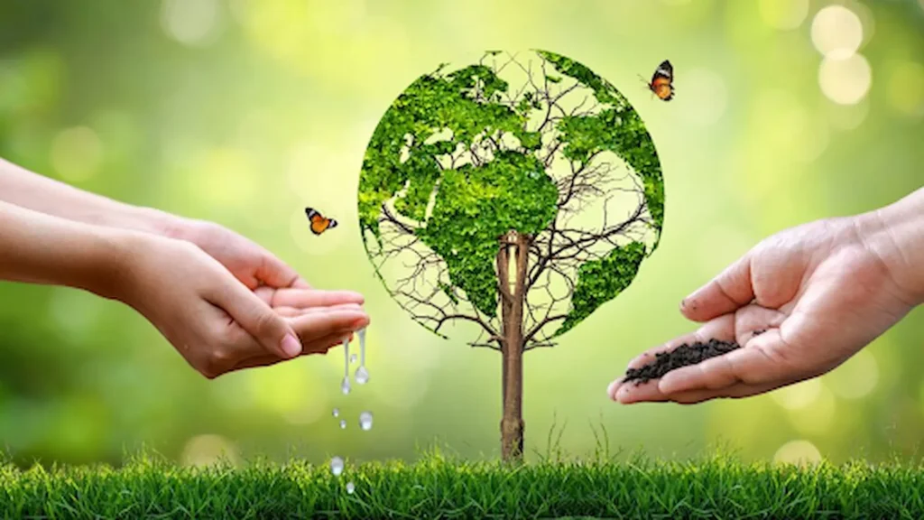 How Gaza Genocide Affects the Environment 4 Gaza genocide