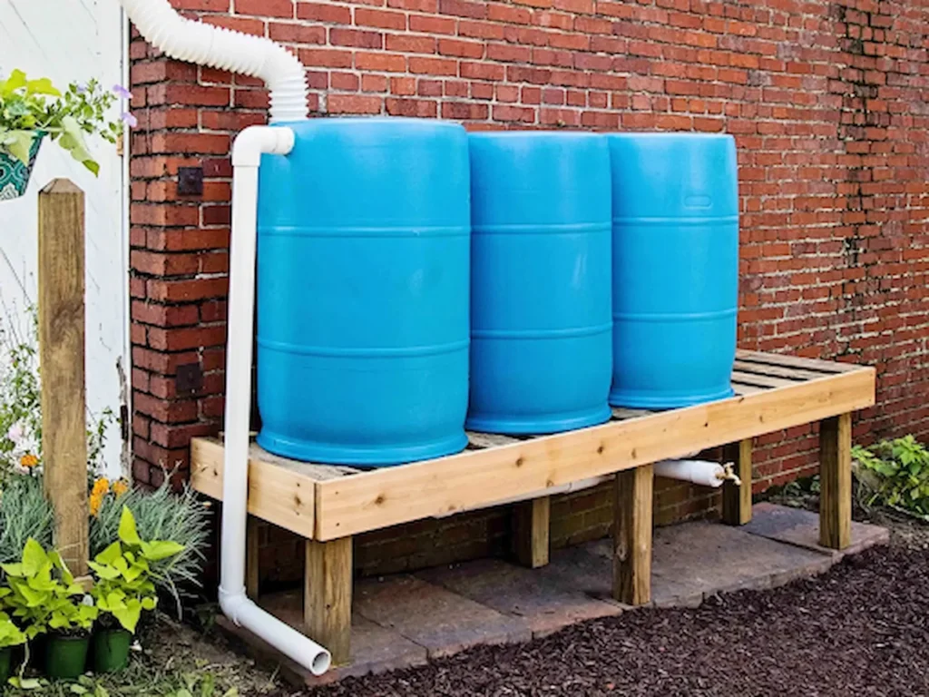 How to Use Rainwater Harvesting for Balcony Plants 5 rainwater harvesting
