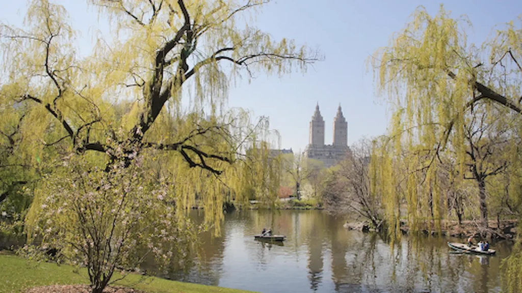 How Much It's Important for Zohran to Win for Environment in New York 1 Zohran