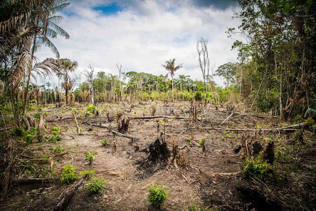 How Israel Is Destroying the Environment 1 Israel Is Destroying